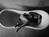 Minh Ly Nude Art