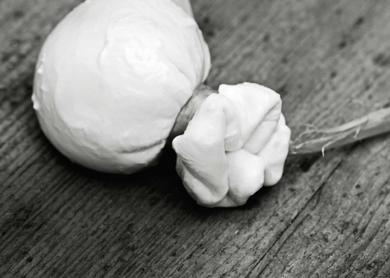 Mozzarella_A2D0774