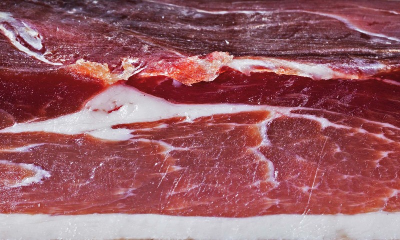 Speck_L1000947